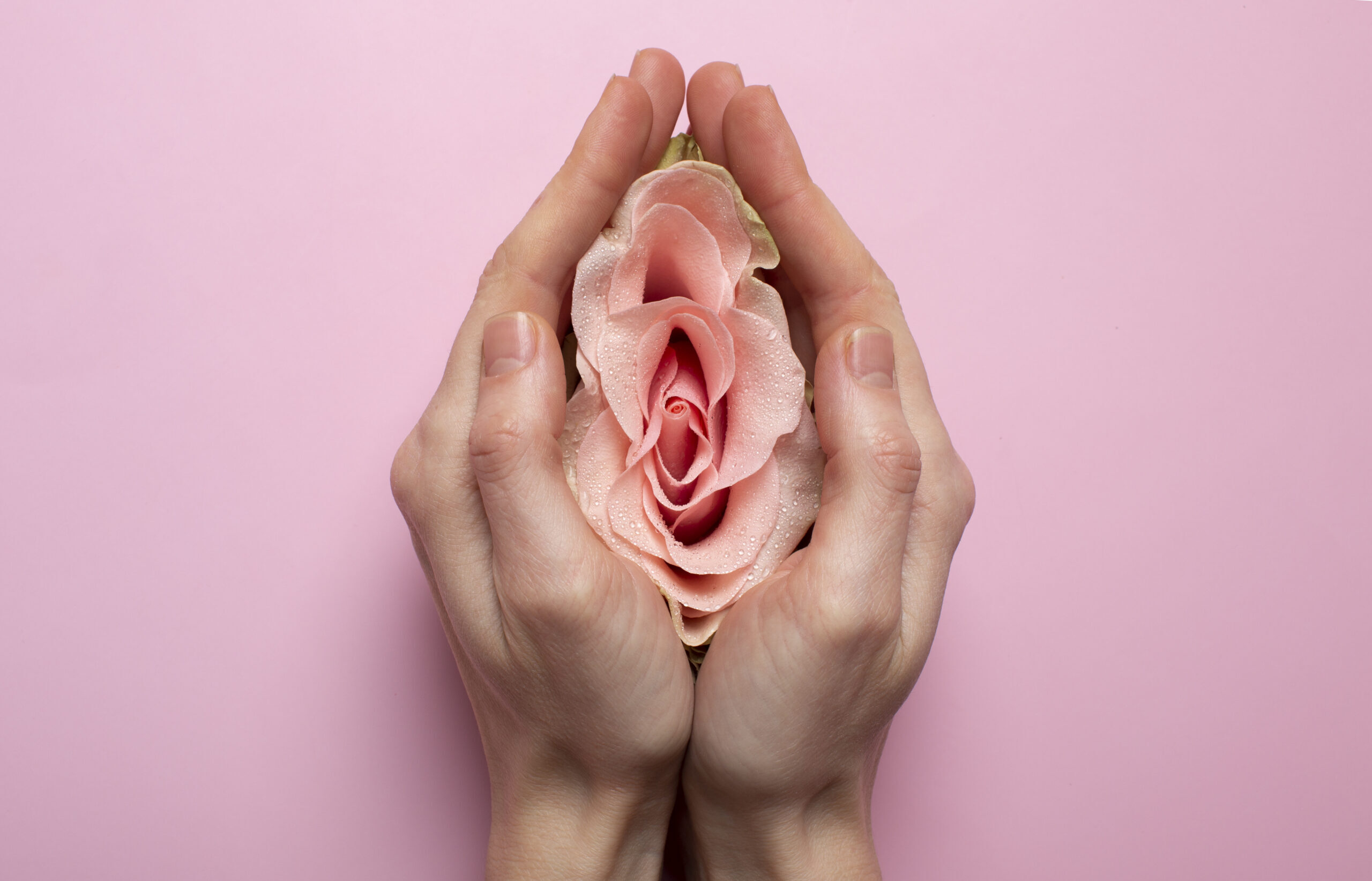Woman Holding Rose Hands Reproductive System Visualization Scaled E1779284797121